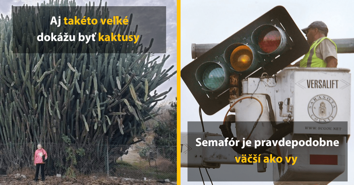 15 porovnaní, ktoré dokazujú, že oči nás často klamú