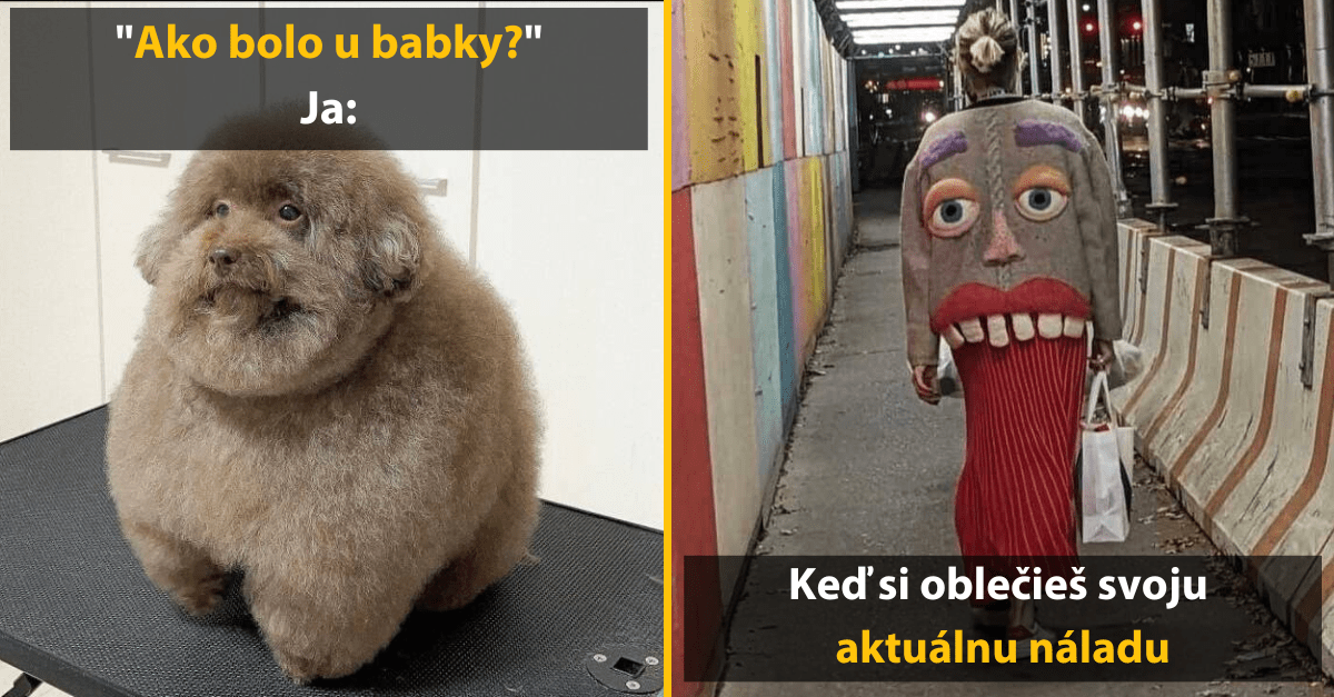 30+ Obrázkov, ktorými dokonale zabiješ čas #469