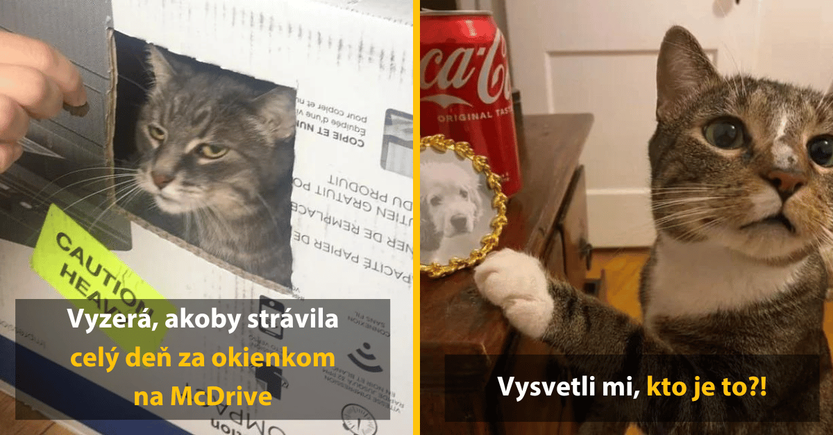 Prvá pomoc: Niekoľko vtipných fotiek na zabitie nudy
