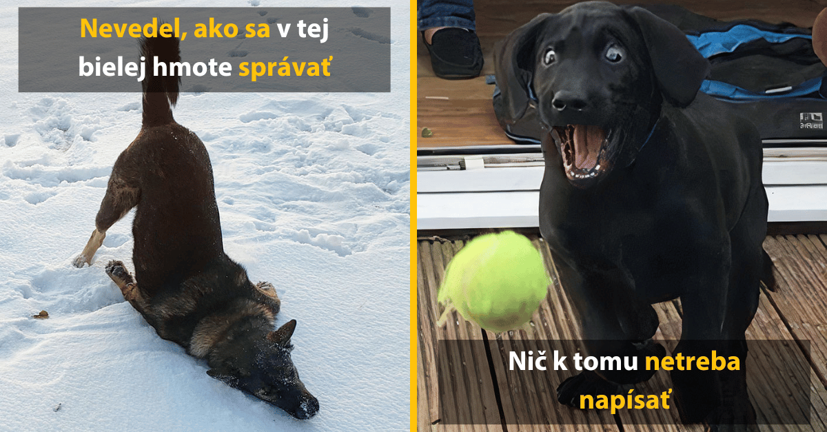 Vyskúšali niečo nové a ich reakcie stoja za to. Pozri si týchto 10 rozkošných fotiek