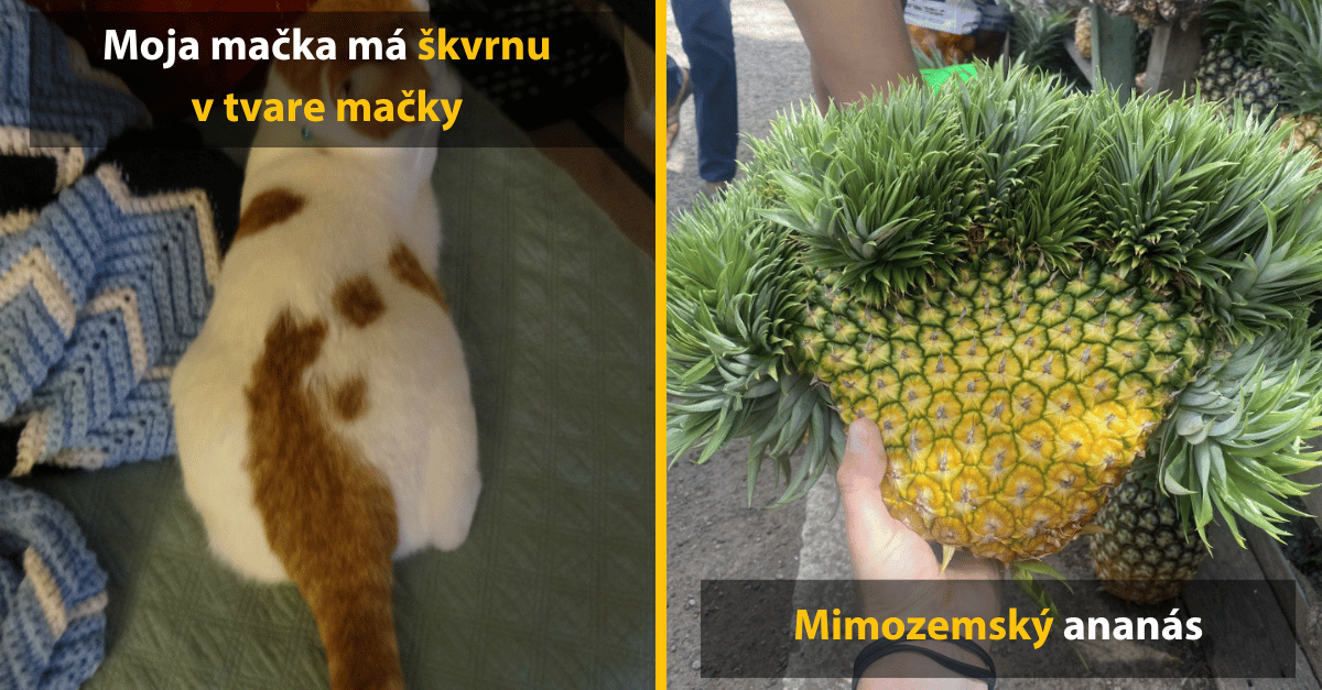 Neveríš v náhody? Týchto 10 fotiek ťa presvedčí, že skutočne existujú
