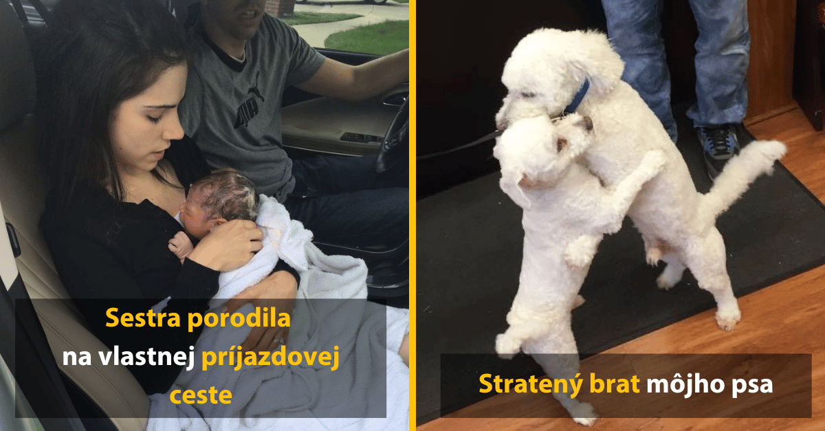 10 prípadov, keď sa z obyčajného dňa stalo hotové dobrodružstvo