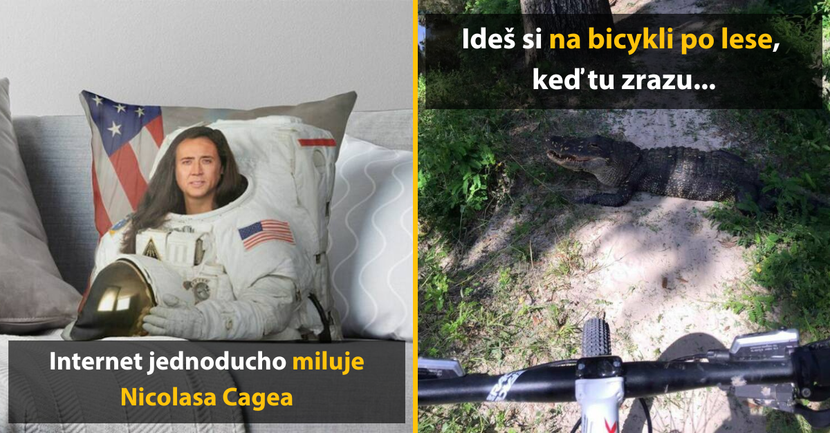30+ Obrázkov, ktorými dokonale zabiješ čas #479