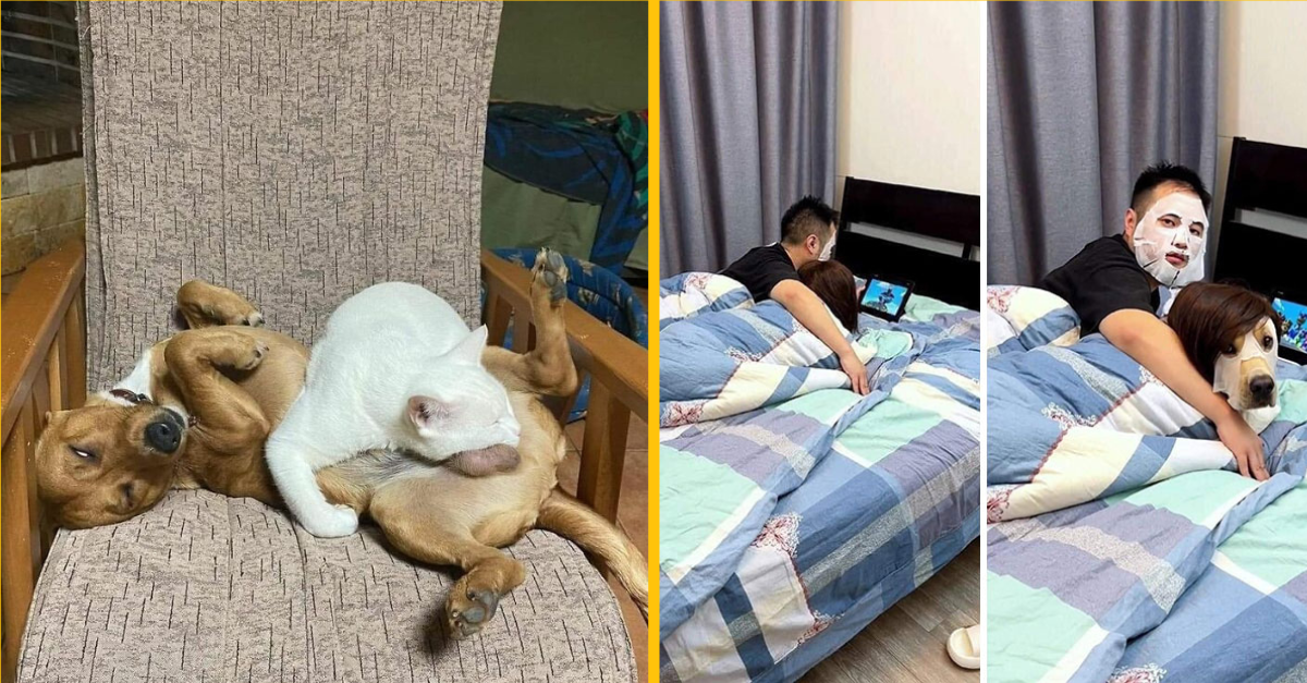 30 fotiek a obrázkov, ktoré vám rozžiaria deň