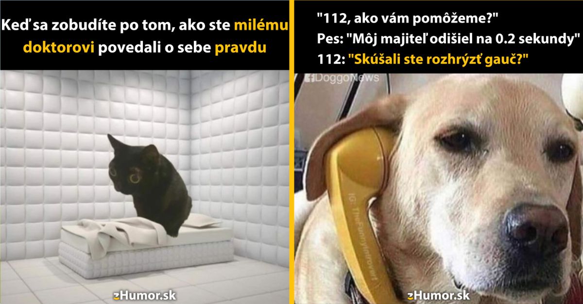 Zopár memečiek, ktoré vznikli, aby ti spríjemnili deň #1292: Hradiť poštovné? Ďakujem, nie.