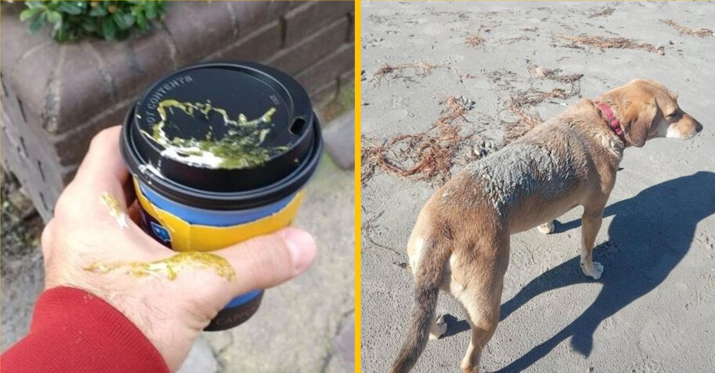 15 ľudí, ktorých dovolenka sa zmenila na neočakávané sklamanie