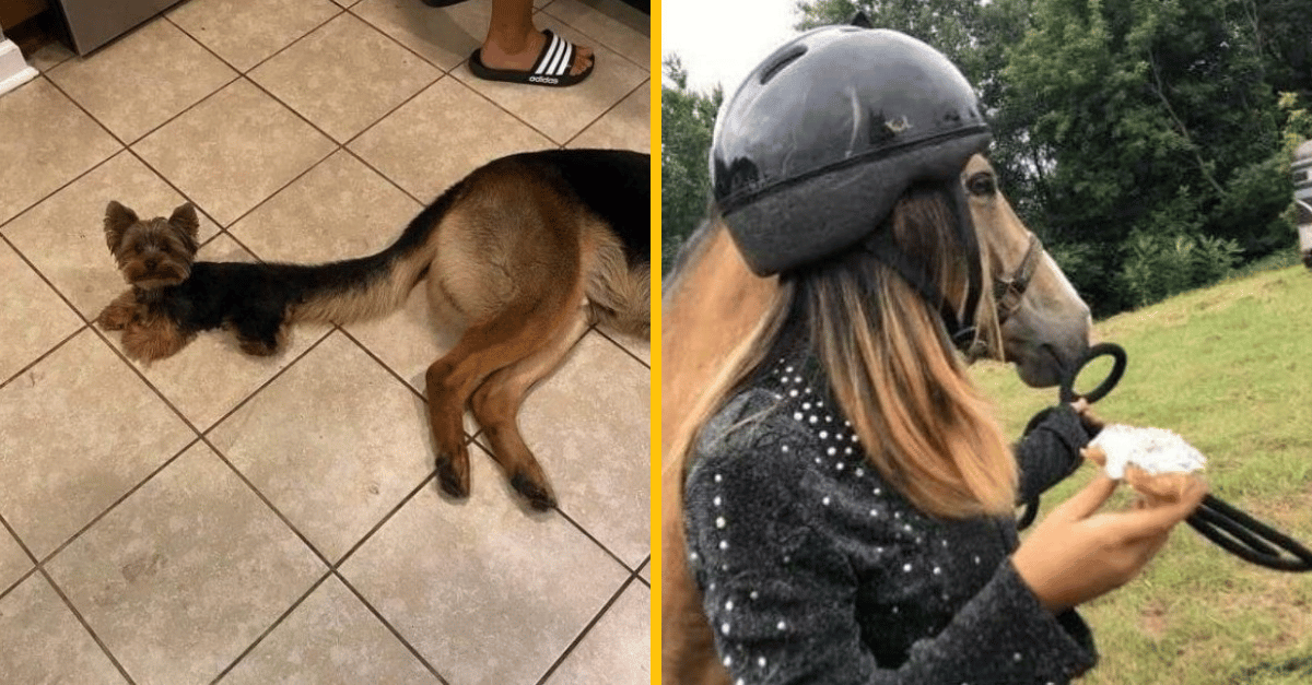 10+ dobre načasovaných fotiek, ktoré ťa prinútia pochybovať o sebe samom