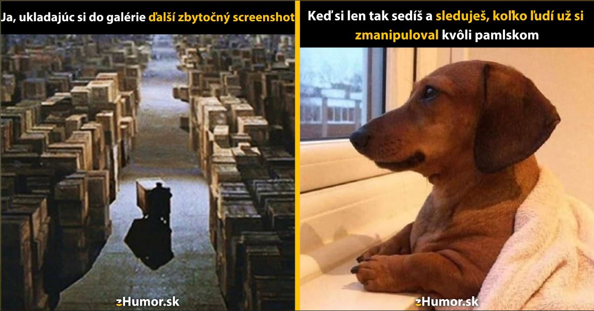 Zopár memečiek, ktoré vznikli, aby ti spríjemnili deň #1302: Tento screenshot sa mi niekedy zíde.