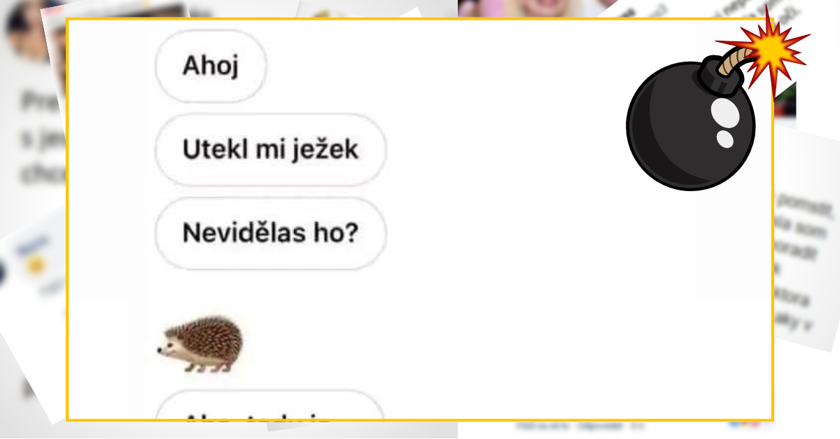 Bomby zo sociálnych sietí #765 – chcel ju cez SMS zbaliť na hru s hľadaním ježka