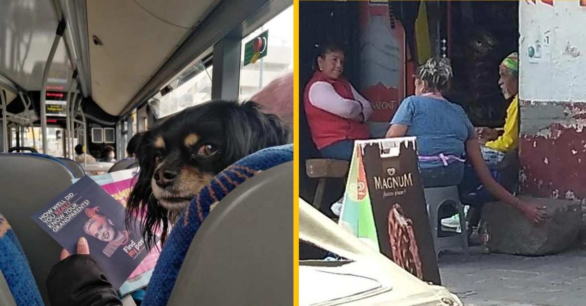 16 obrázkov, pri ktorých je uhol pohľadu kľúčový