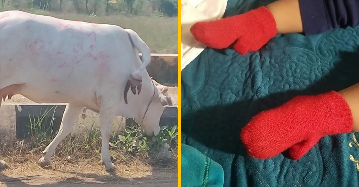 Prekvapivé veci, ktoré dodali bežnému dňu špeciálne nakopnutie