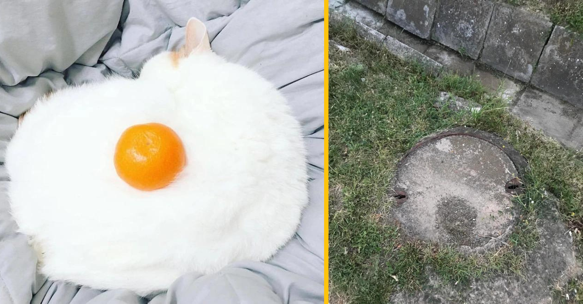 16 mätúcich fotiek, ktoré sa podarilo ľuďom odfotiť