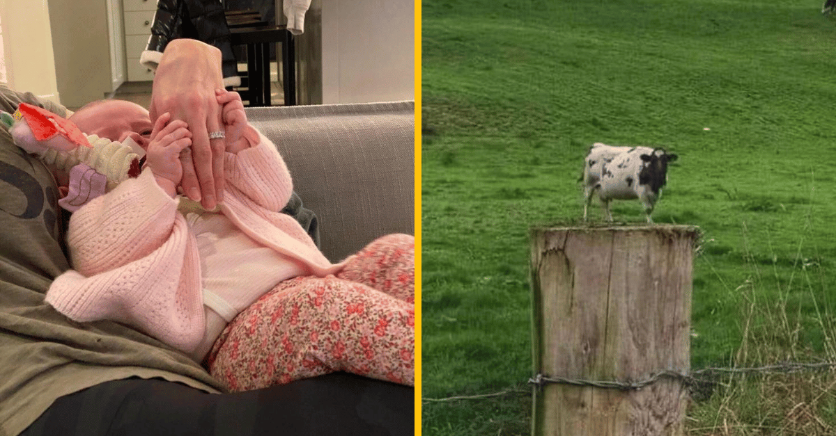 13 mätúcich fotografií, ktoré sa vymykajú logike