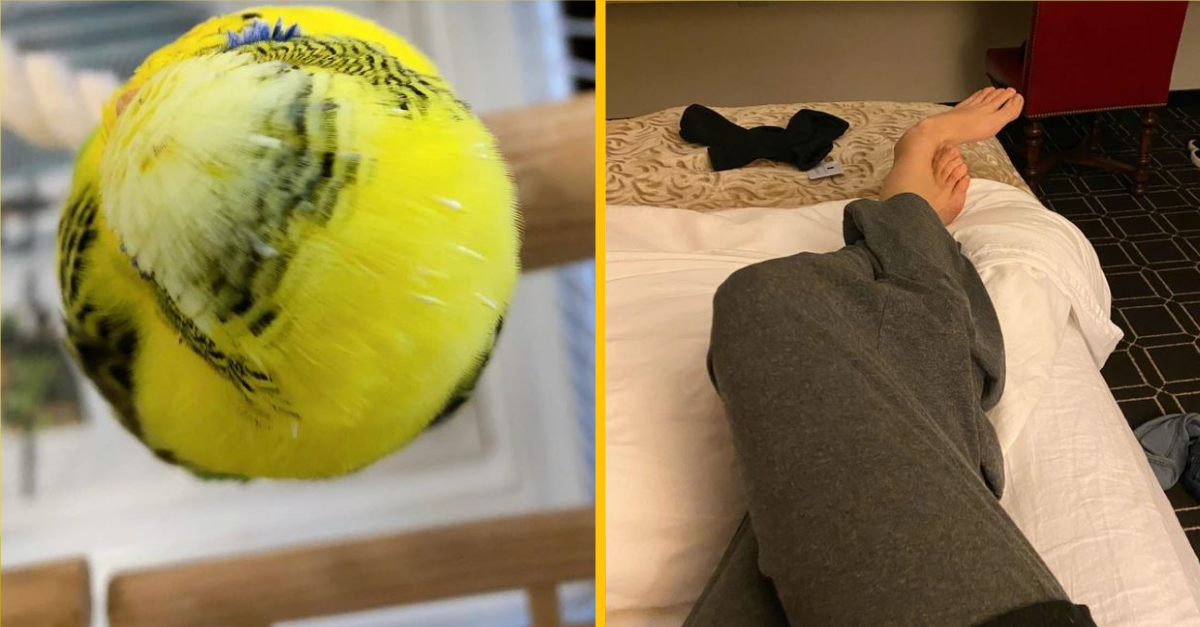 Fotografie, ktoré vás vyvedú z miery