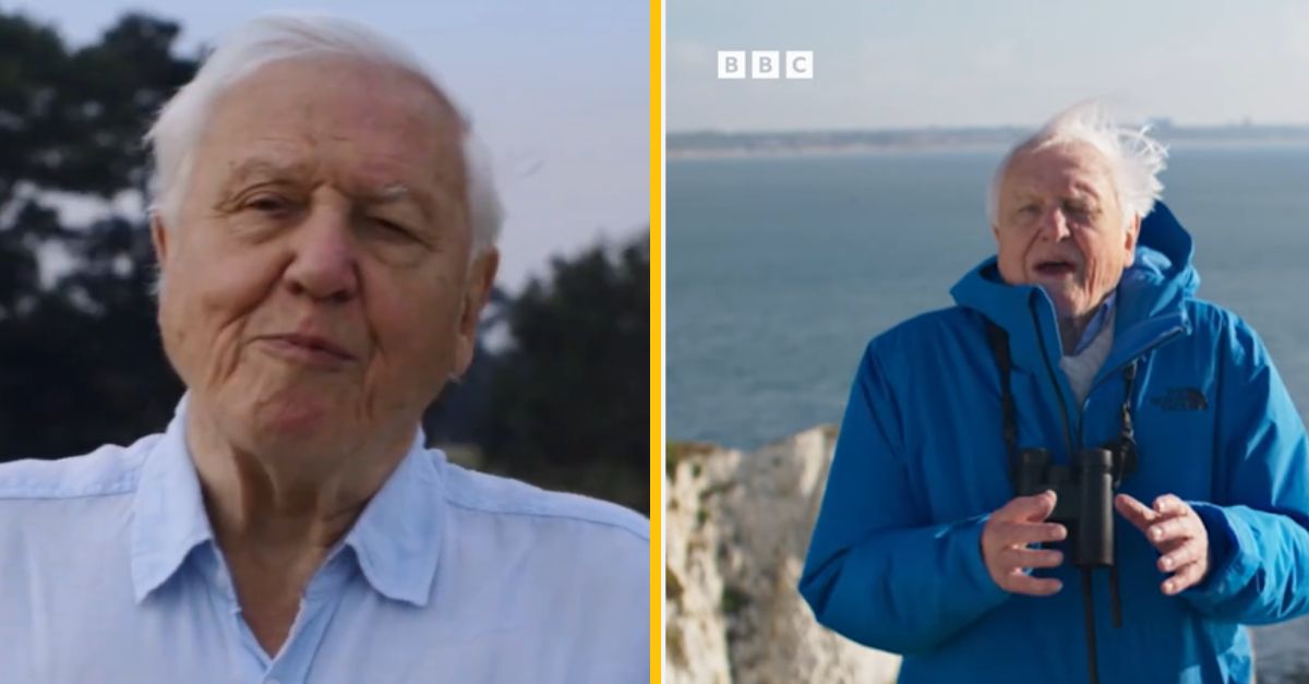 Sir David Attenborough sa vo veku 97 rokov vráti na obrazovky s novým televíznym seriálom
