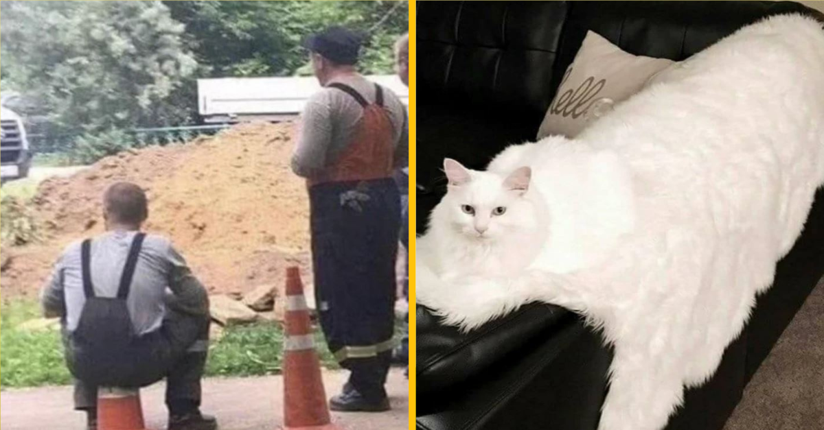 Znepokojujúcich fotografie, vďaka ktorým sa budete cítiť podvedení