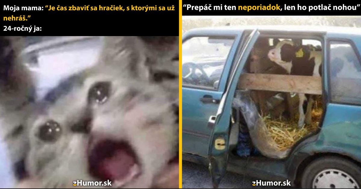 Zopár memečiek, ktoré vznikli, aby ti spríjemnili deň #1347: Je čas sa tých hračiek zbaviť.