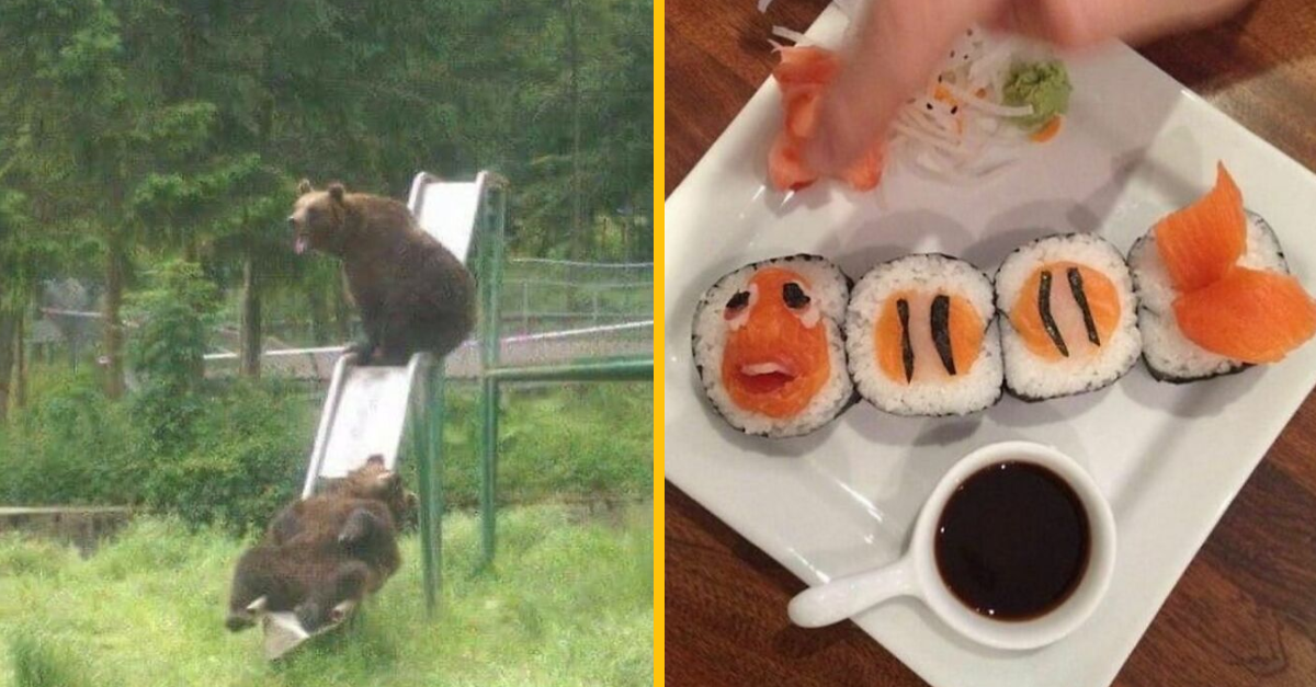 10 perfektných fotografií, ktoré boli odfotené v ten správny moment (1. časť)