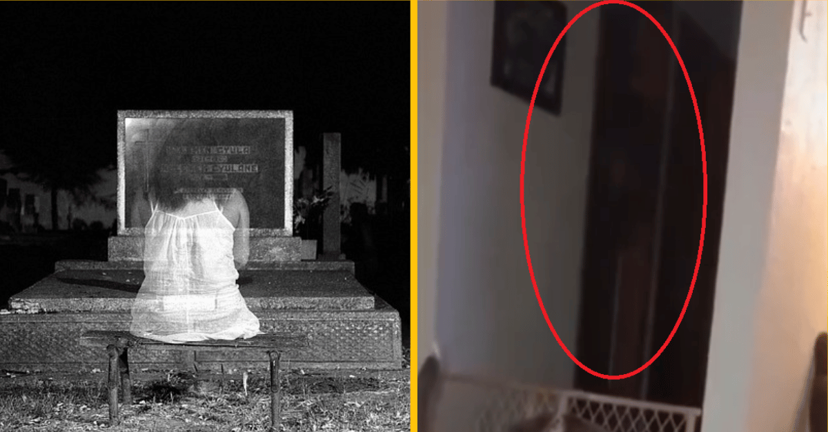 Desivé video, na ktorom pes zbadá „ducha“ číhajúceho vo dverách – realita alebo nevydarený žart?