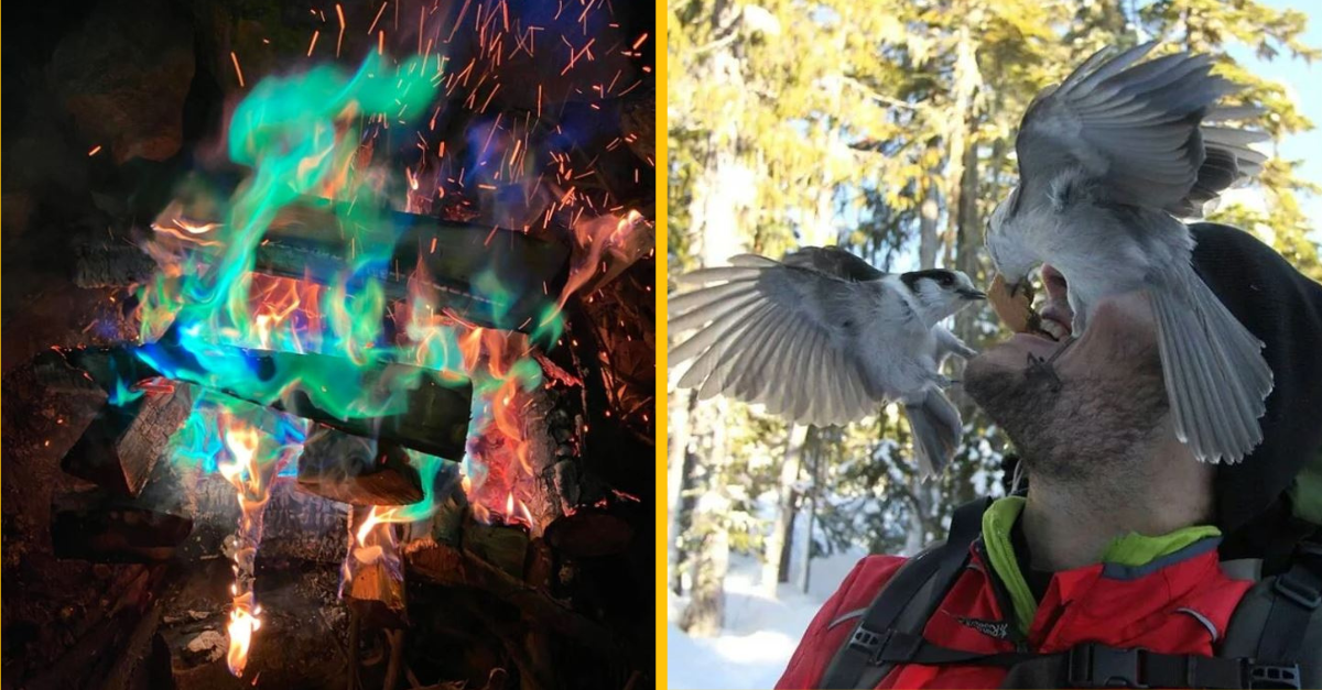 14 šťastlivcov, ktorí zachytili epické momenty na svoje fotografie