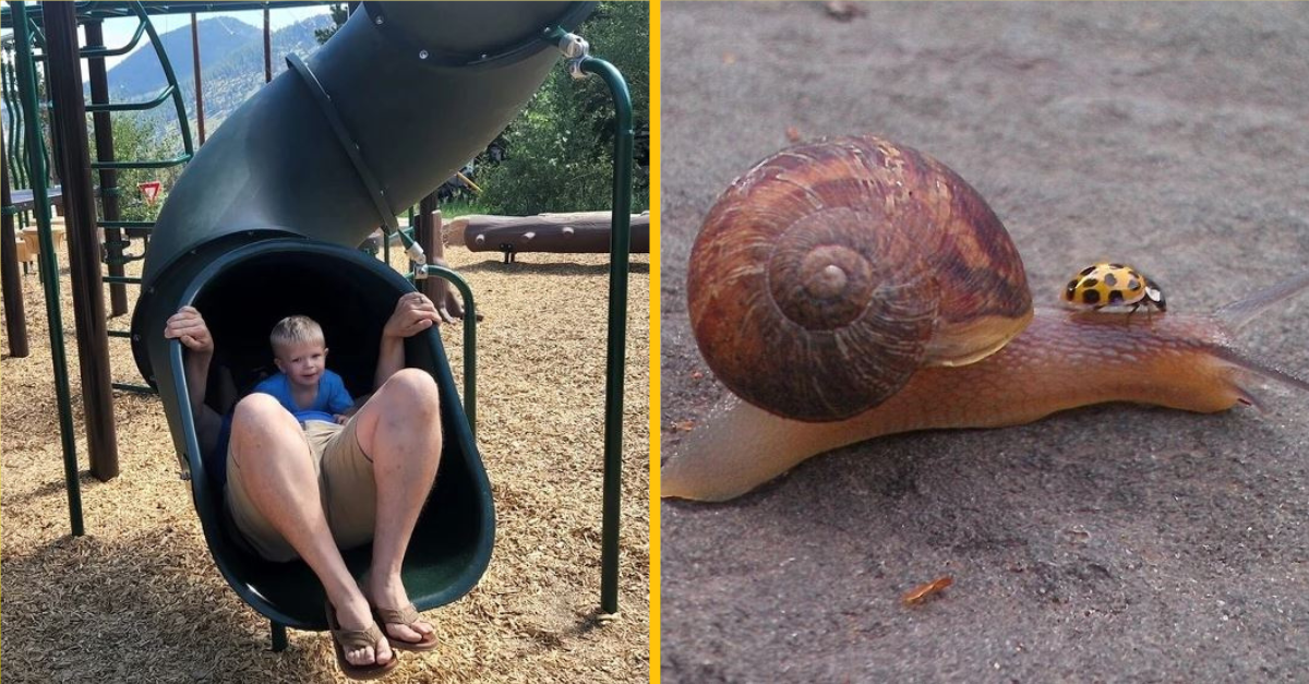 Zložité fotografie, ktoré vás nalákajú do víru zmätku
