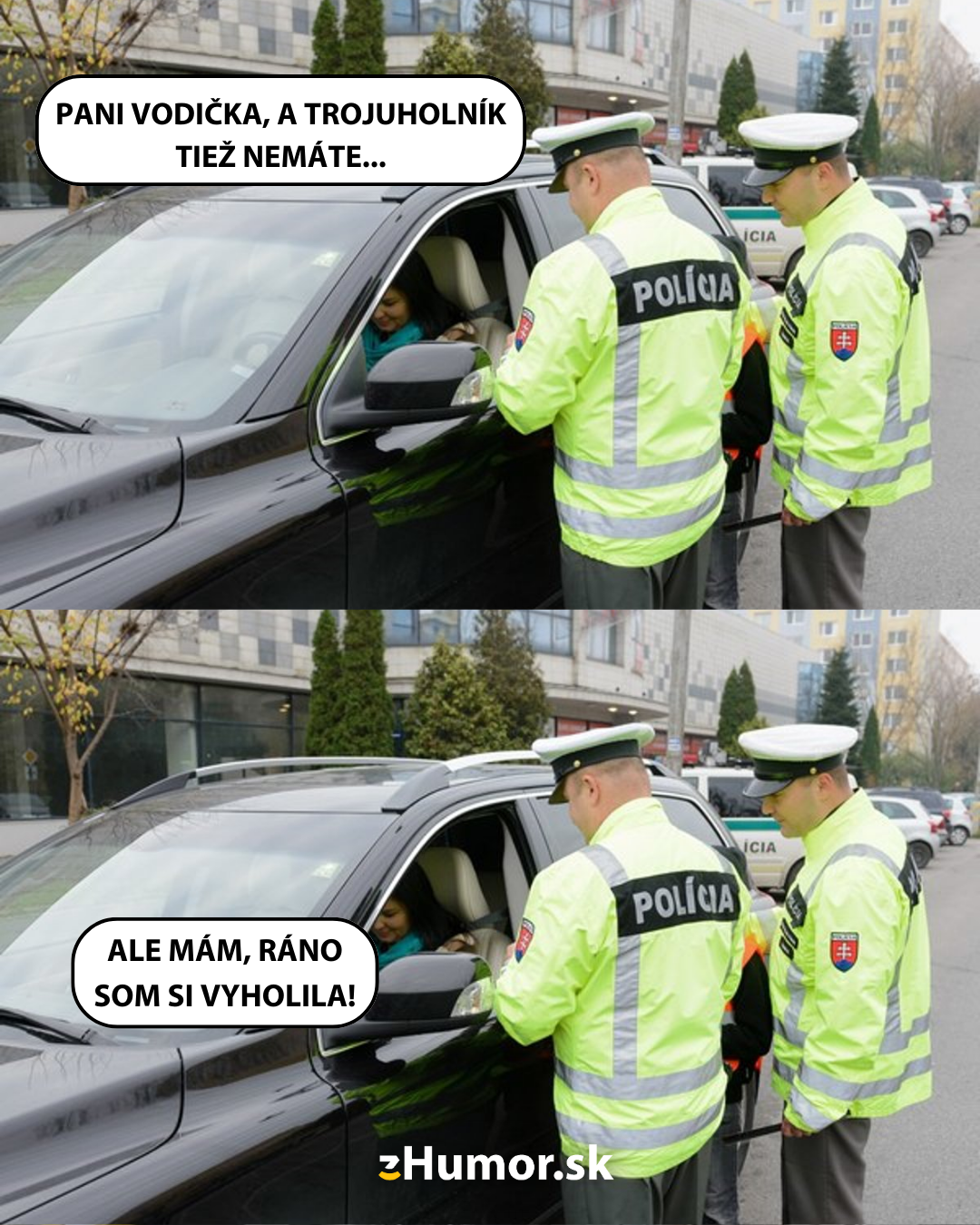 Policajná kontrola