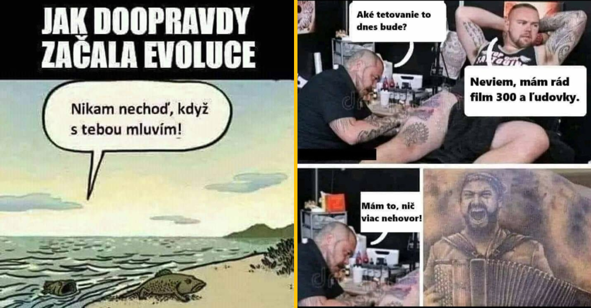 20+ Obrázkov: Všetko vtipné z internetu! #353 – vtipná konverzácia o zelenom chrobákovi