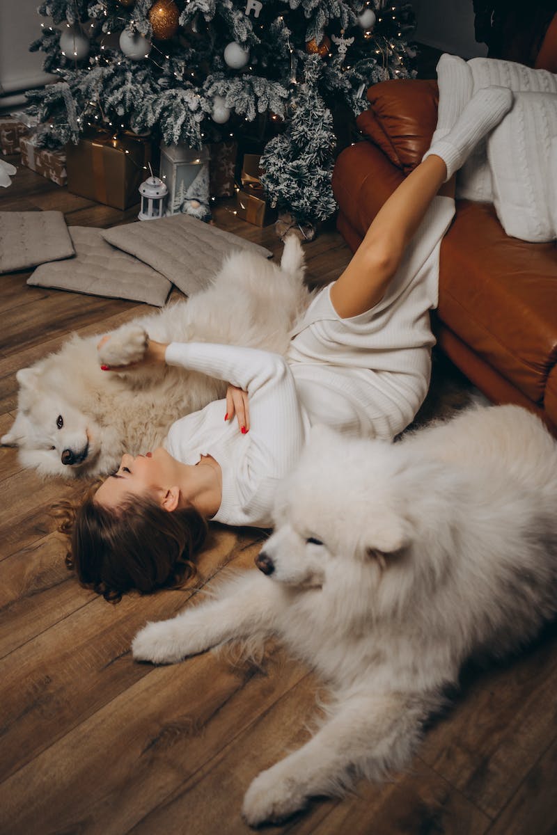 Boy Lying Down on Floor with Dogs