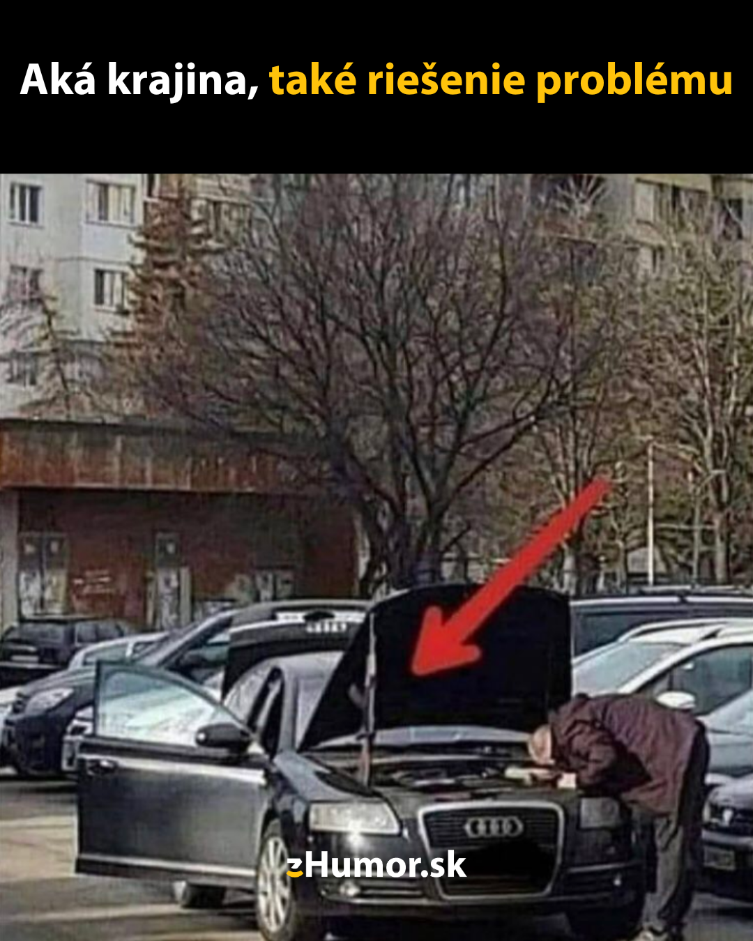 Vyriešil to ako pán