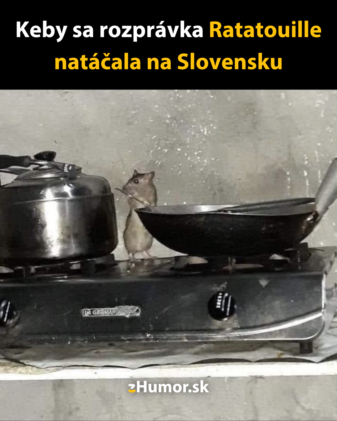 Ratatouille na Slovensku