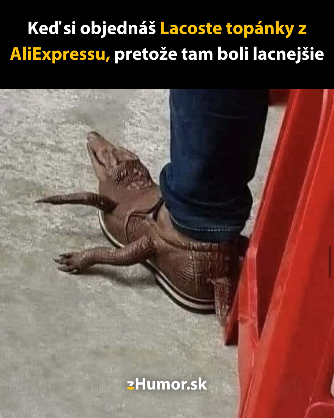 Lacoste z AliExpressu