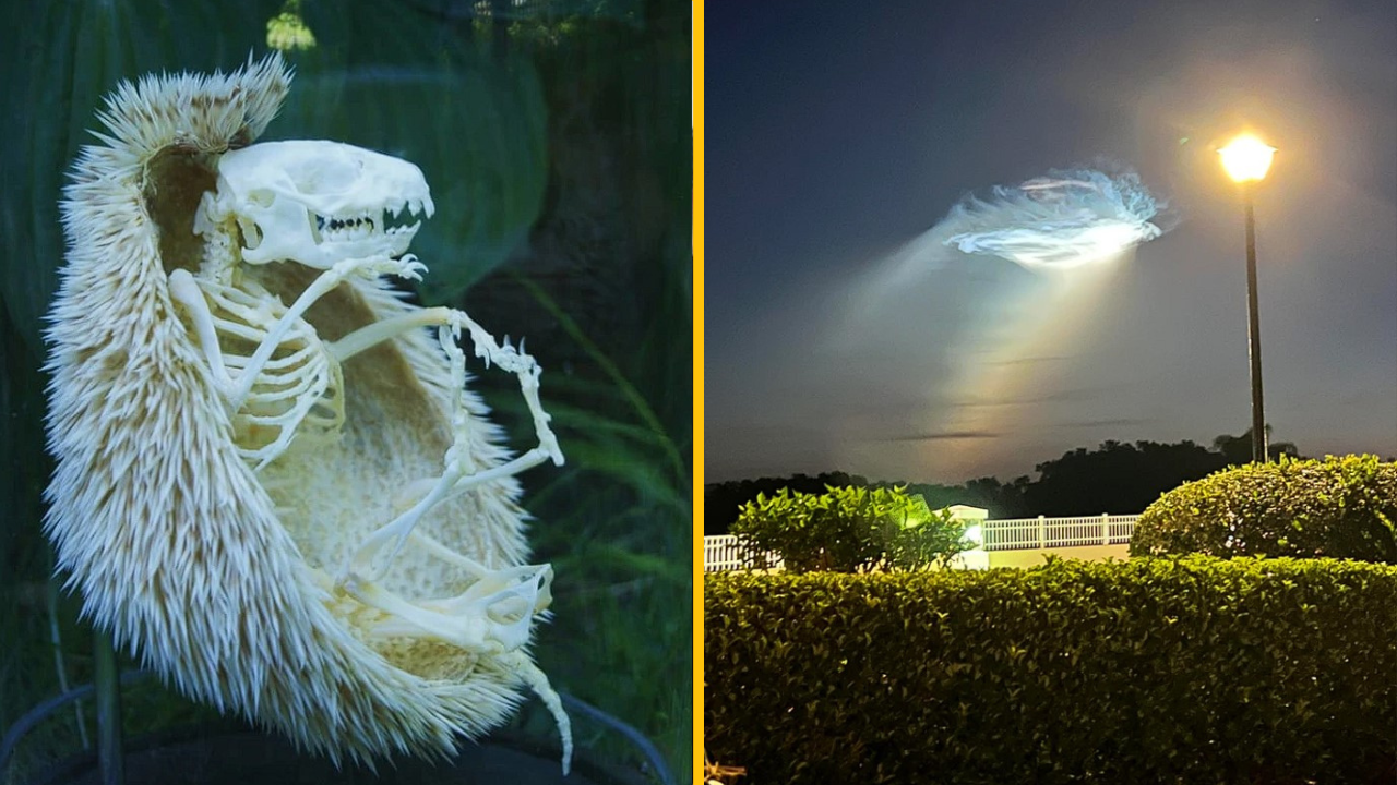 15 fotografií, ktoré ľudí šokovali a nechajú v šoku aj vás