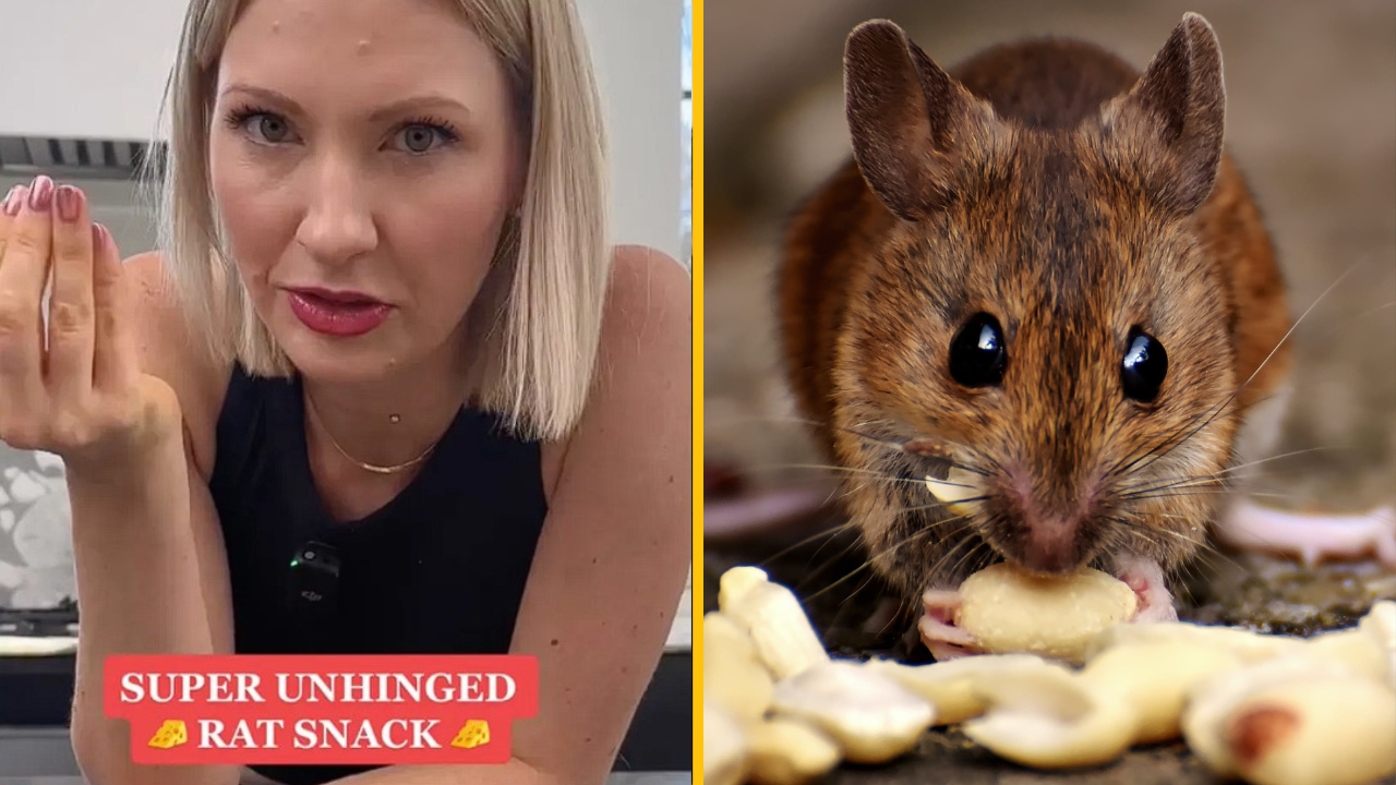 Sociálne siete ovládol nový trend. Takzvanú „girl dinner“ nahradilo „rat snacking“ –  v preklade „potkanie občerstvenie“