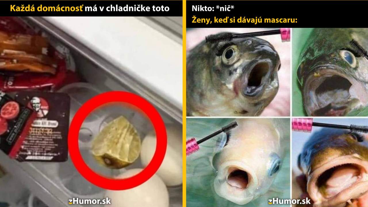 Zopár memečiek, ktoré vznikli, aby ti spríjemnili deň #1386: Každá domácnosť je rovnaká.