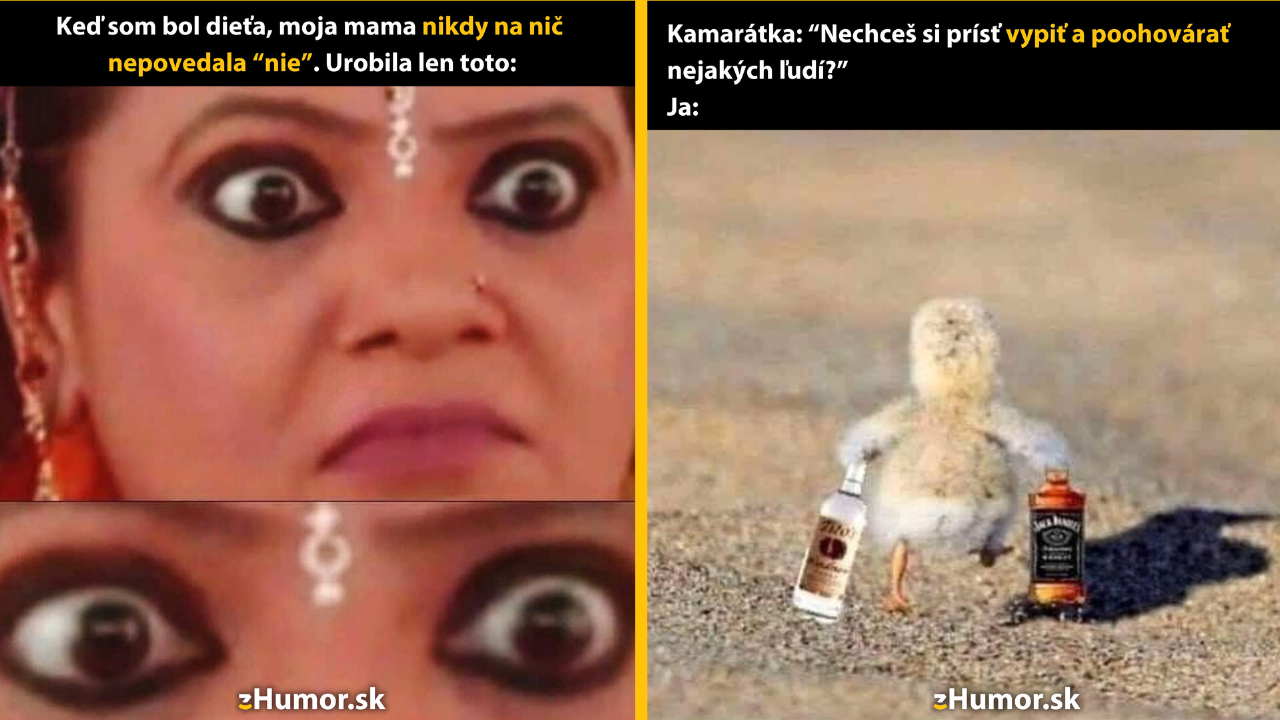 Zopár memečiek, ktoré vznikli, aby ti spríjemnili deň #1392: Moja mama nikdy nepovedala „nie“.