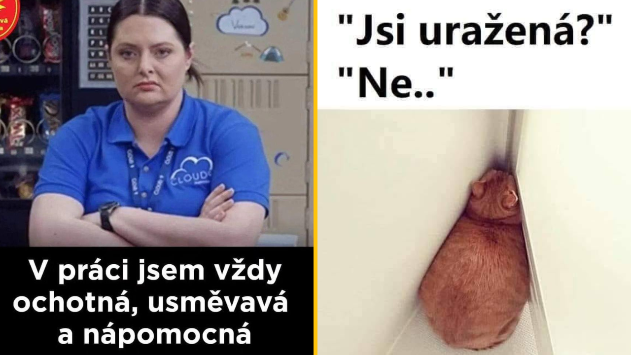 20+ Obrázkov: Všetko vtipné z internetu! #381 – priznanie u lekára a famózny inzerát na bazoši