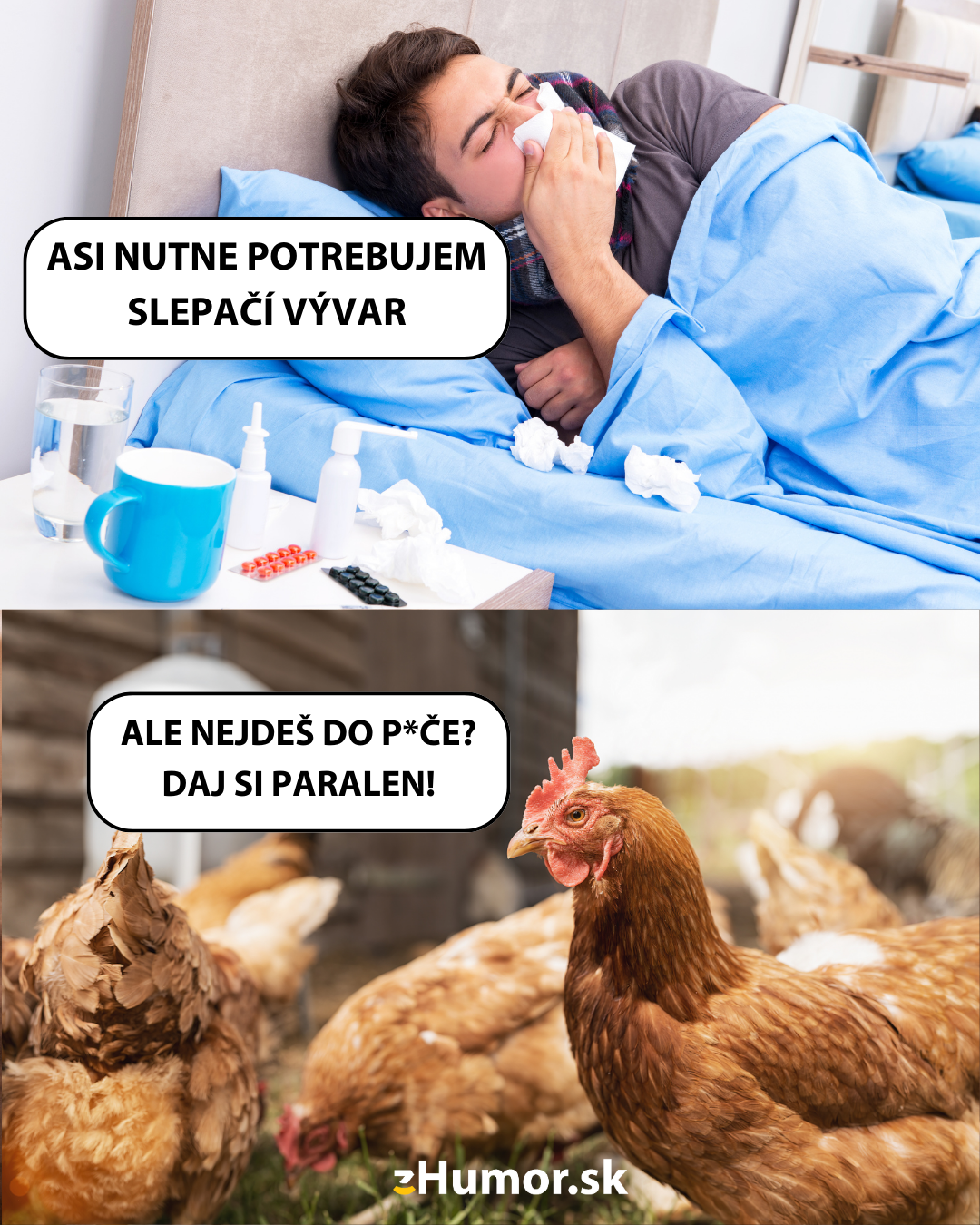 Chrípková epidémia