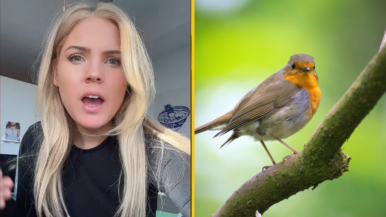 Sociálne siete zaplavil nový trend – bird test, ktorým ženy testujú priateľov. Podporujú ho dokonca aj vedci