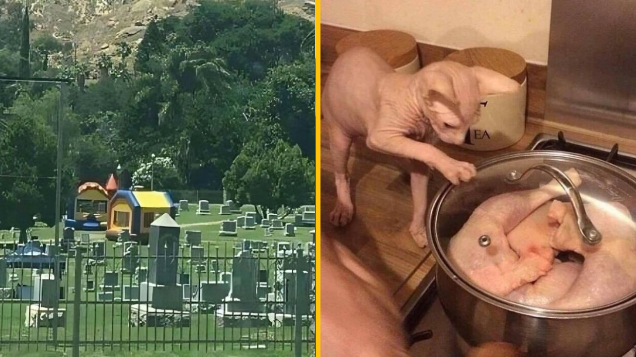 10 fotografií, ktoré nikdy nemali vzniknúť (2. časť)