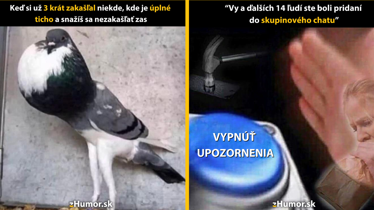 Zopár memečiek, ktoré vznikli, aby ti spríjemnili deň #1401: Tak ale už by naozaj stačilo.
