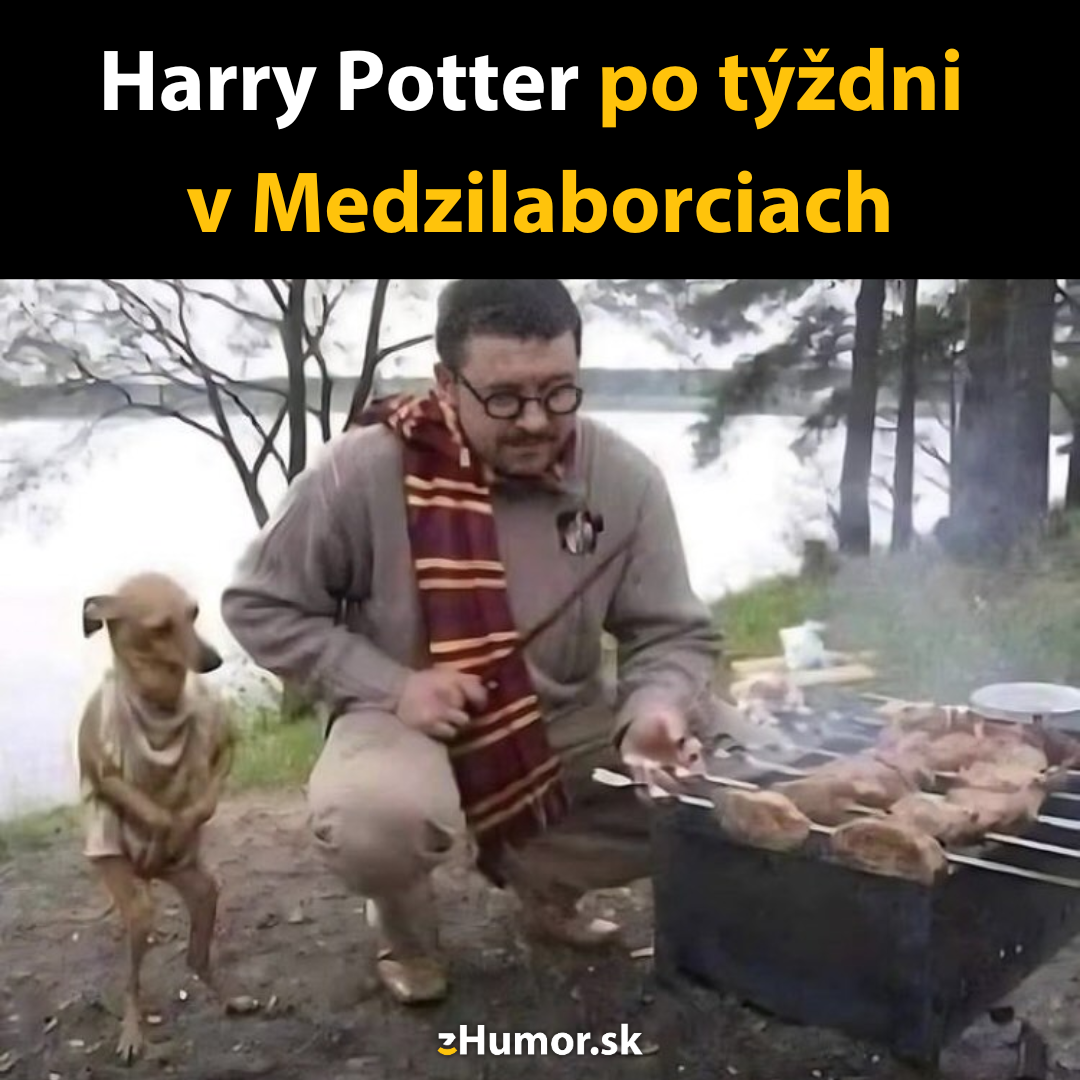 Harry Potter na Slovensku