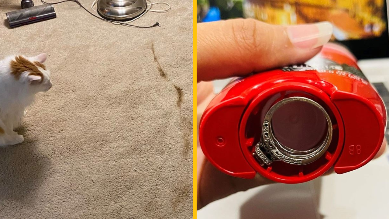 15 ľudí, ktorí chceli mať len normálny deň, ale vesmír odmietol spolupracovať