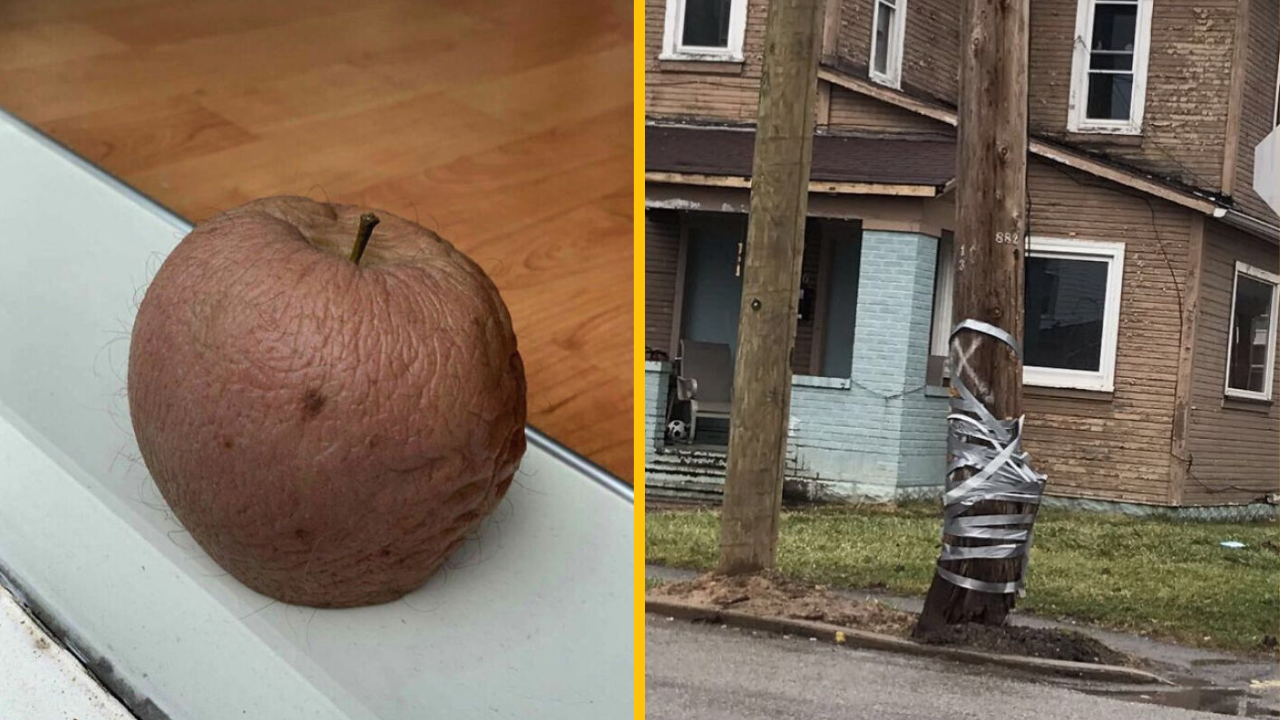 10 fotografií, na ktoré rozhodne nie je príjemný pohľad (2. časť)