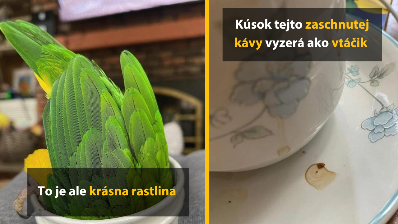 14 fotiek, ktoré vám zamotajú hlavu