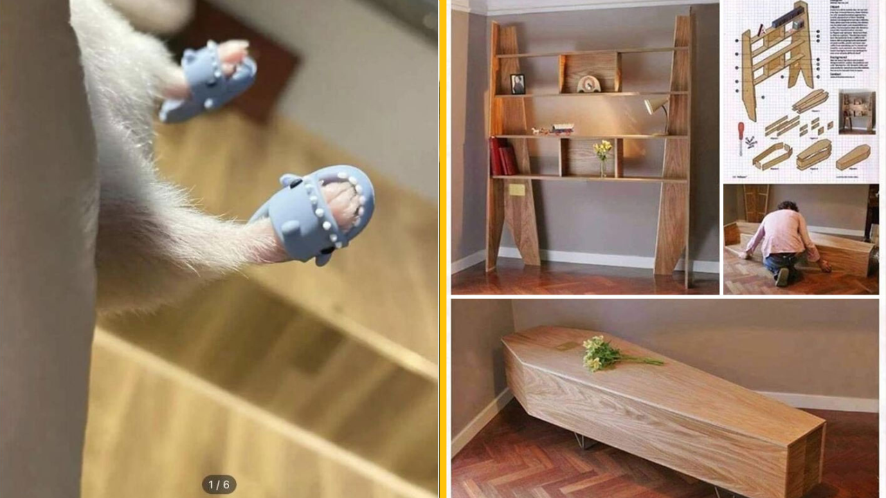 10 bizarných fotografií, pri ktorých nebude veriť vlastným očiam (2. časť)