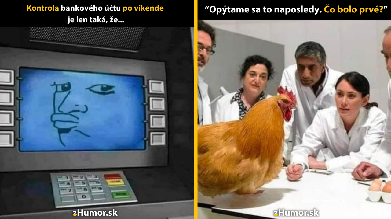 Zopár memečiek, ktoré vznikli, aby ti spríjemnili deň #1406: Straty sú priveľké.