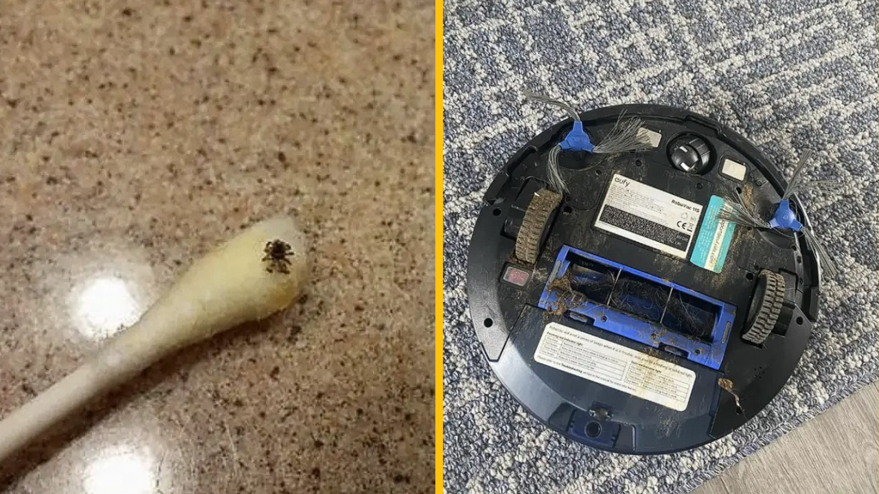 Týchto 10 ľudí ledva stihlo ráno otvoriť oči a už boli konfrontovaní s krutou realitou