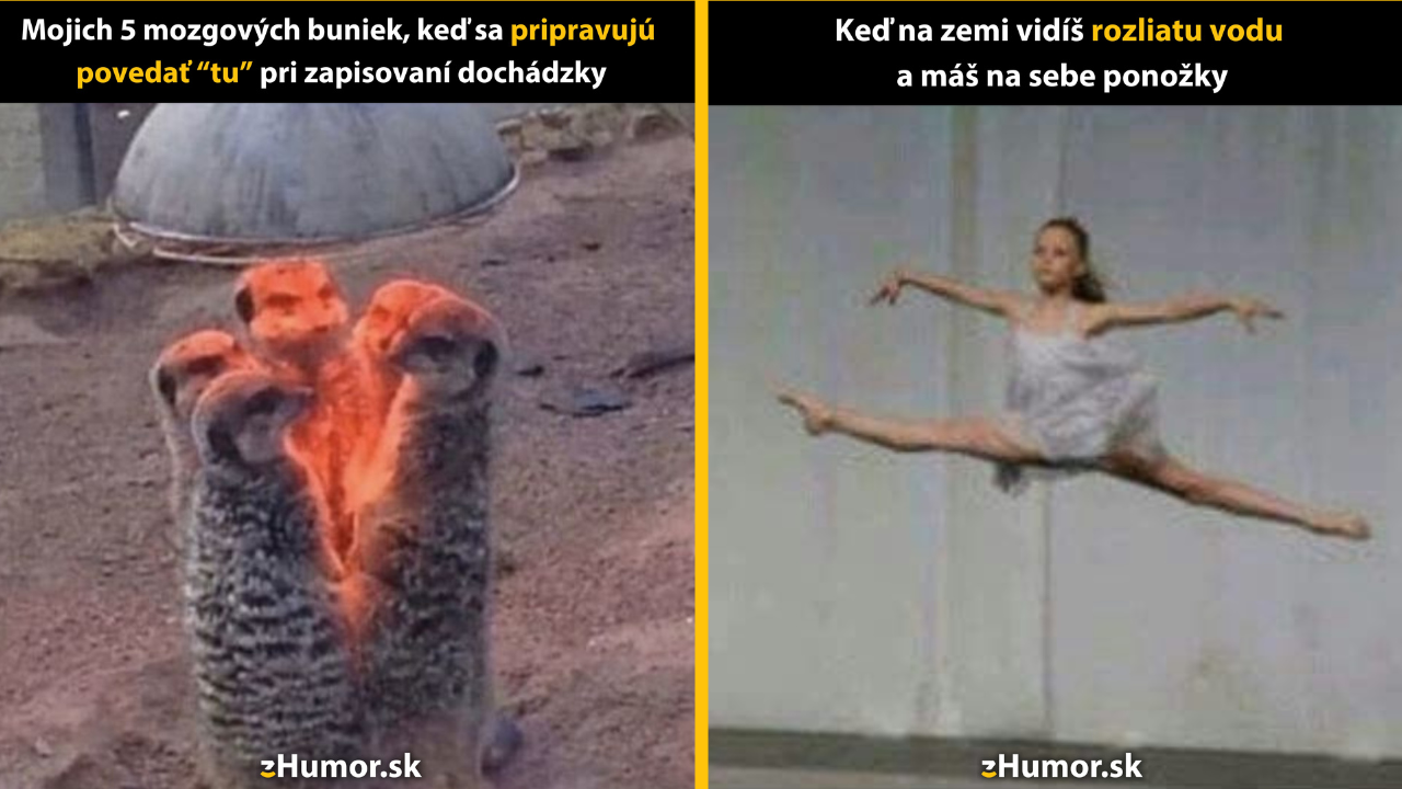 Zopár memečiek, ktoré vznikli, aby ti spríjemnili deň #1423: Prečo, Bože, prečo ja?