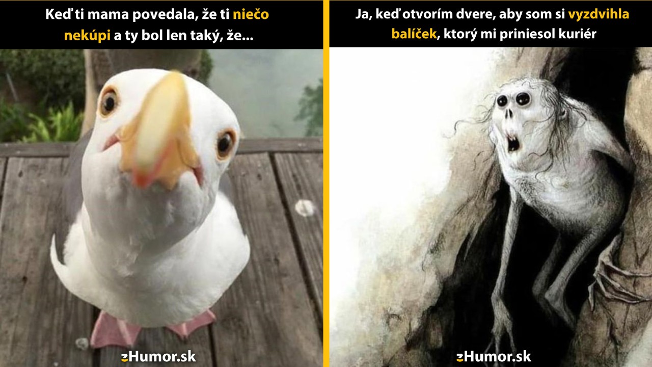 Zopár memečiek, ktoré vznikli, aby ti spríjemnili deň #1426: Ale prosíííím, sľubujem, že už budem dobrý.