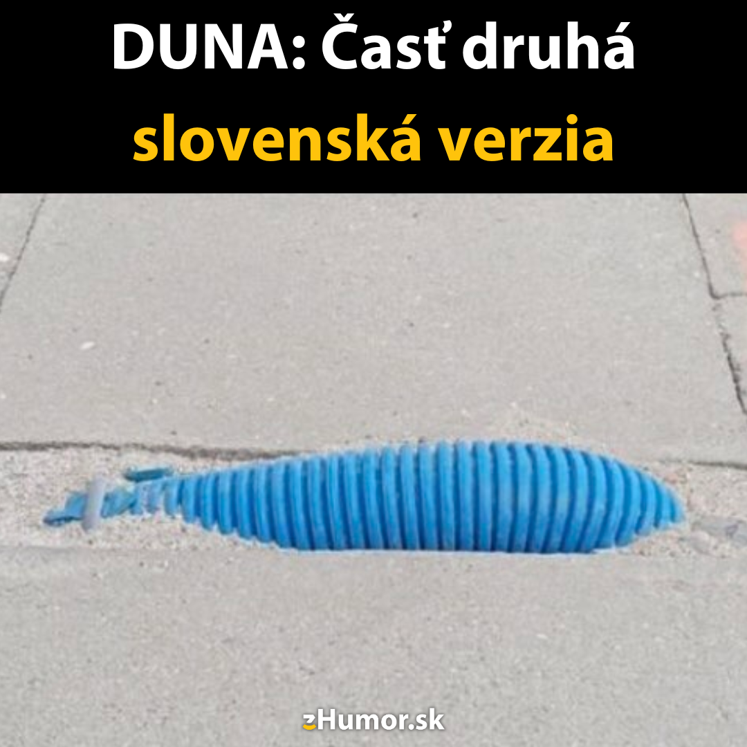 Duna po slovensky